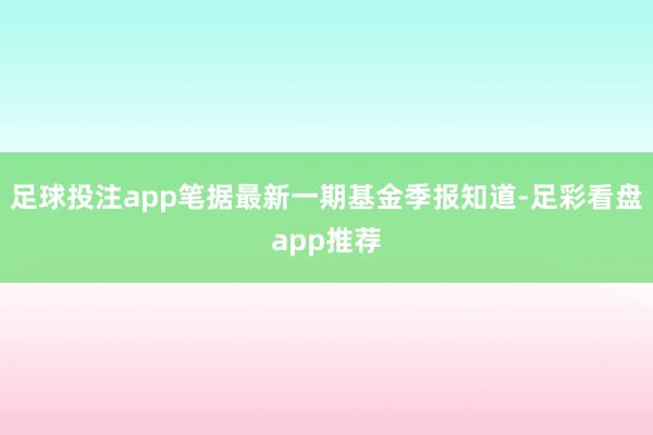 足球投注app笔据最新一期基金季报知道-足彩看盘app推荐