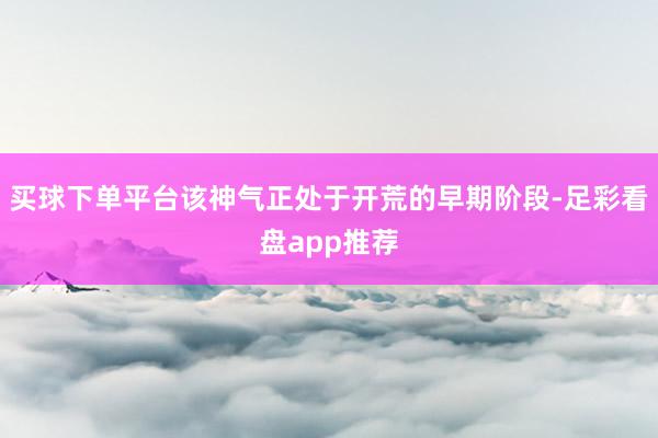 买球下单平台该神气正处于开荒的早期阶段-足彩看盘app推荐