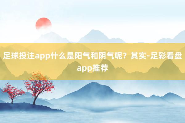 足球投注app什么是阳气和阴气呢？其实-足彩看盘app推荐