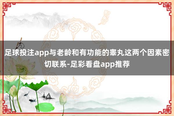 足球投注app与老龄和有功能的睾丸这两个因素密切联系-足彩看盘app推荐
