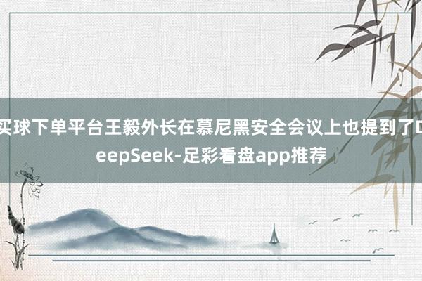 买球下单平台王毅外长在慕尼黑安全会议上也提到了DeepSeek-足彩看盘app推荐