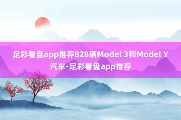 足彩看盘app推荐828辆Model 3和Model Y汽车-足彩看盘app推荐