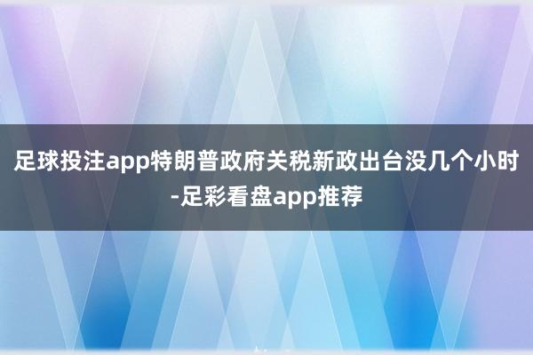 足球投注app特朗普政府关税新政出台没几个小时-足彩看盘app推荐