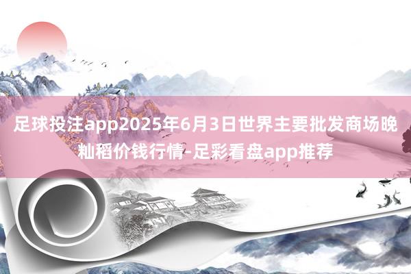 足球投注app2025年6月3日世界主要批发商场晚籼稻价钱行情-足彩看盘app推荐