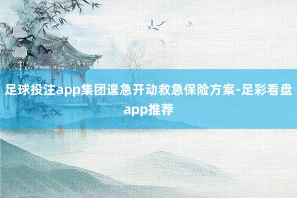 足球投注app集团遑急开动救急保险方案-足彩看盘app推荐