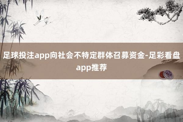 足球投注app向社会不特定群体召募资金-足彩看盘app推荐