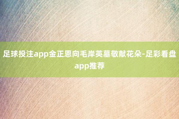 足球投注app金正恩向毛岸英墓敬献花朵-足彩看盘app推荐