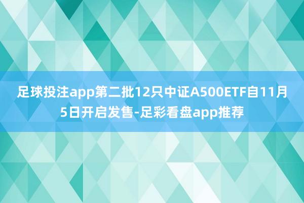 足球投注app第二批12只中证A500ETF自11月5日开启发售-足彩看盘app推荐