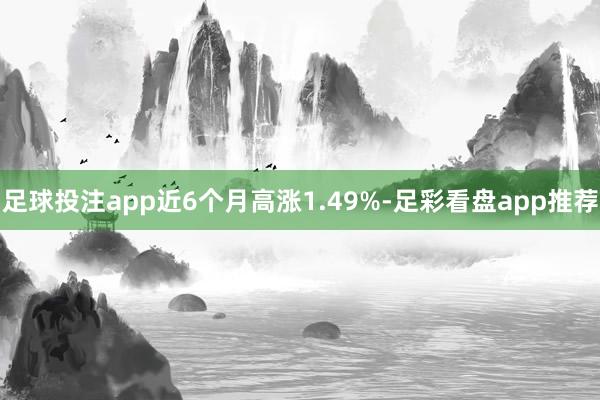 足球投注app近6个月高涨1.49%-足彩看盘app推荐
